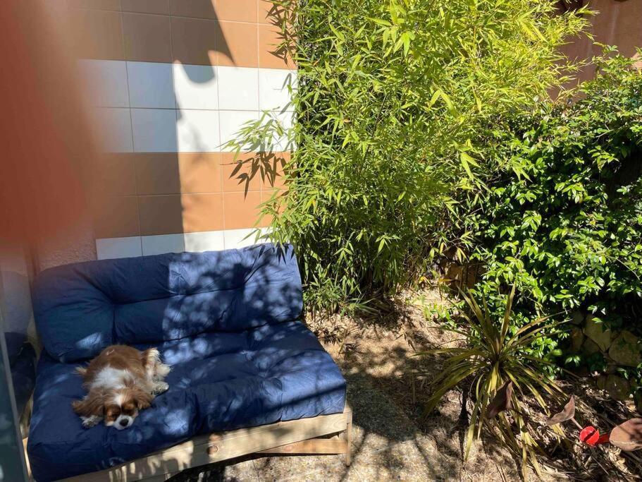Charming Studio To Venelles 10 Minutes From Aix Buitenkant foto